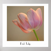 Söt rosa tulpan print