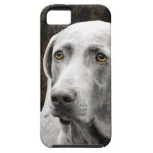 Soulful ögon av Weimaraneren iPhone 5 Fodraler