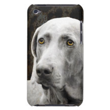 Soulful ögon av Weimaraneren iPod Case-Mate Cases