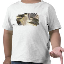 South America Brasilien, Igwacu nedgångar, Igwazu Tee Shirts