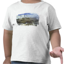 South America Brasilien, Igwacu nedgångar. Stå hög Tshirts