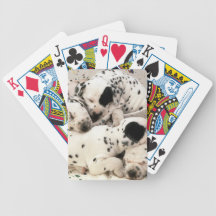 Sova Dalmatian valpar som leker kort