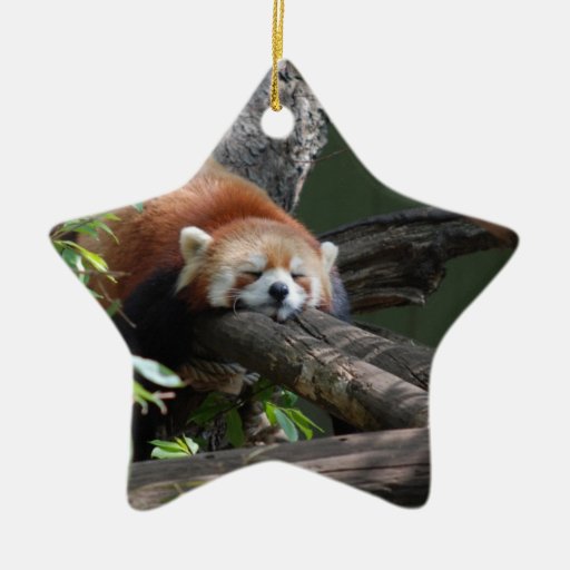 Sova den röda Pandaprydnaden Julgransdekoration