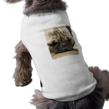 Sova mopshund tröja