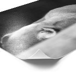 Sova puma konstfoto