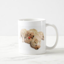 Sova valpar kaffe mugg