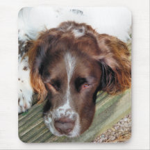 SPANIEL FÖR ENGELSK SPRINGER MUS MATTOR