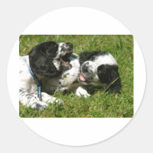 Spanielroligt Klistermärke