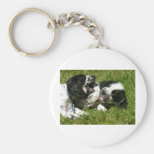 Spanielroligt Nyckel Ring