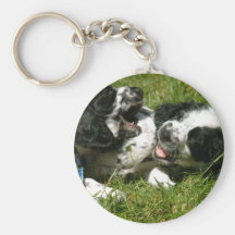 Spanielroligt Nyckel Ring