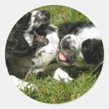 Spanielroligt Runda Klistermärken