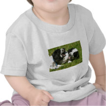 Spanielroligt Tröja