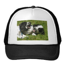 Spanielroligt Trucker Keps