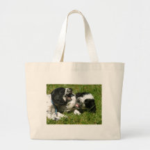 Spanielroligt Tygkassar