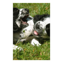 Spanielroligt Unika Brevpapper