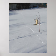 Spårar i snö~-tryck posters