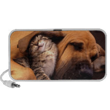 Spårhund med kattungeklotter iPhone högtalare