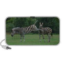 Sparka sebrahögtalare