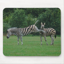 Sparka sebramousepad musmatta