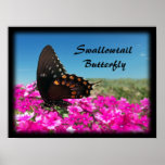 Spicebush Swallowtail fjäril Posters