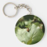 Spider_Leaf_Robers_Cave Nyckelringar
