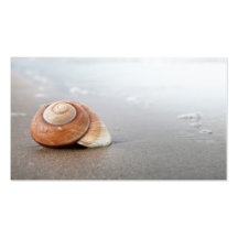 Spiral snäcka på sandig strand nära havet visitkort mallar