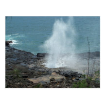 Spouting Hornvykort
