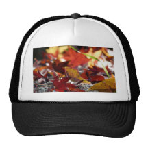 Spridd höst löv baseball hat