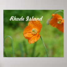 Spring Gardens Poster