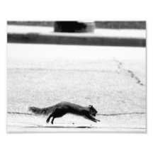 Spring och Huffing! Fotografier