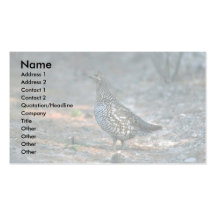 Spruce grouse, höna visitkort mall
