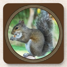 Squirrel Coasters surrounded by Round Acorn Border