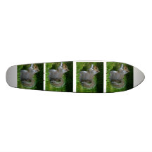 Squirrely old schoolskateboard