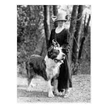St Bernard & Boston Terrier, 1925 Vykort