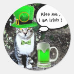ST PATRICK'S DAYKATT MED GRÖN IRLÄNDSK ÖL RUND KLISTERMÄRKE