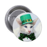 St patrick's daykattälskare knäppas nål