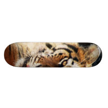 Stads- djungel - diamanter och tigrar skate board