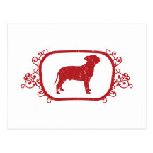 Staffordshire tjurTerrier Vykort