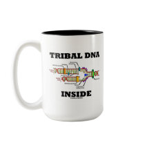 Stam- DNA-insida (DNA-replicationen)