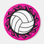 stam- volleyboll magnet för kylskåp