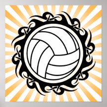 stam- volleyboll posters