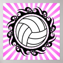 stam- volleyboll posters
