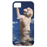 Standarda pudelreflexioner iPhone 5 cases