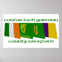 Ståndsmässig Wexford flaggor Posters