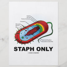 Staph endast (den vård- medicinhumorn för Prokaryo Full Färg Flygblad