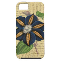 Star Of India iPhone 5 Covers