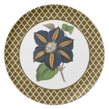Star Of India Plate