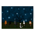 "Stargazing" kort