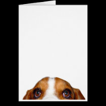 Starring Holmes, den älskvärda Bassethund kort