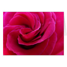 Steg beställnings- rosa bröllop för blommahälsning